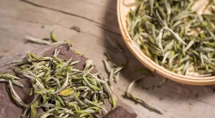 福鼎白茶的生长条件福鼎白茶的栽培要点都有哪些？