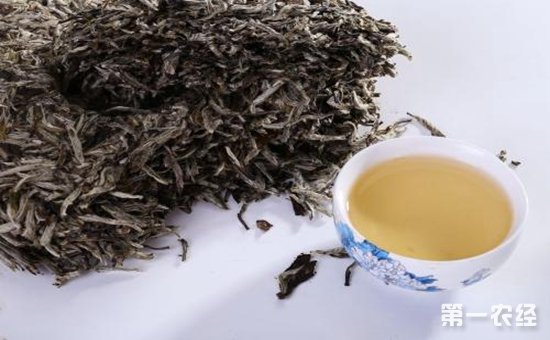 老白茶与新白茶有什么区别吗？老白茶与新白茶的区别介绍