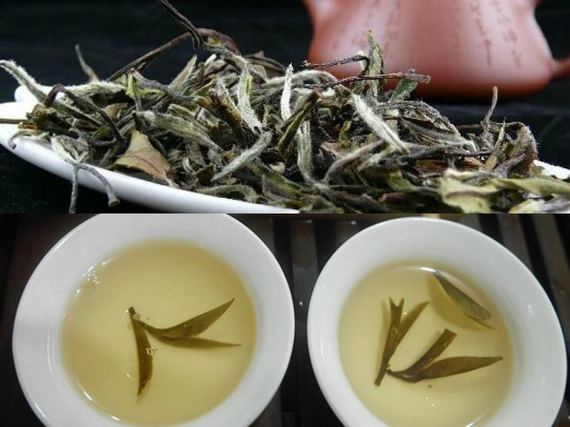 白牡丹茶的保质期最长可达两年