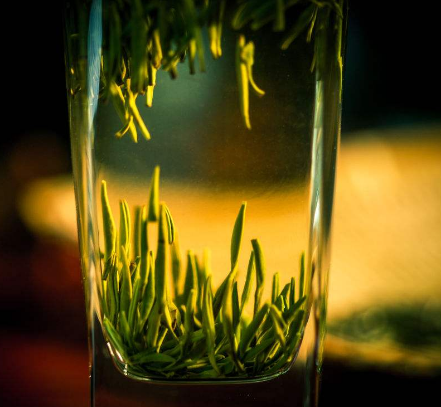 竹叶青茶属于绿茶吗？有哪些功效？