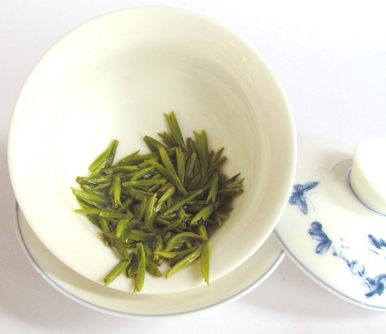 惊！竹叶青茶的强大保健功效