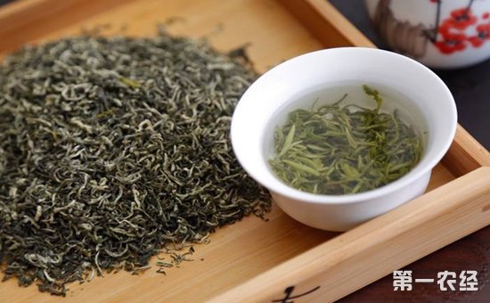 茶叶文化：康熙与碧螺春的故事