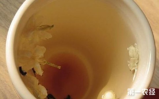 孕妇能喝茉莉花茶吗？茉莉花茶助产是真的吗？