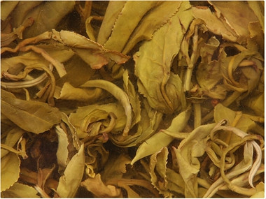 金银花茶的作用与功效有哪些？