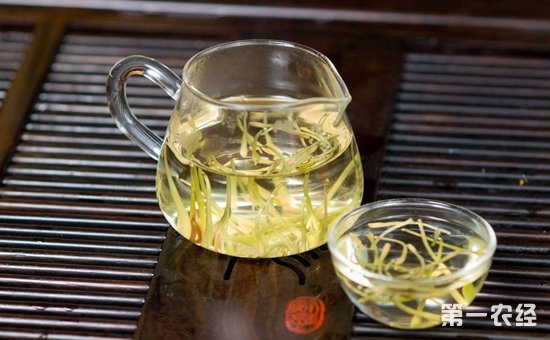 金银花茶的功效有哪些？金银花泡水喝可以减肥吗？