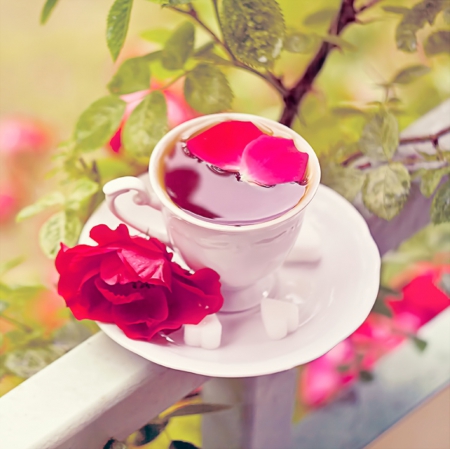 玫瑰花茶的副作用：三类人群要少喝