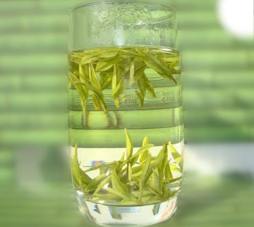 绿茶品鉴—安吉白茶不是白茶，看完得知是绿茶！