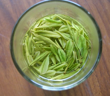 小编整理汇总：安吉白茶属于绿茶吗