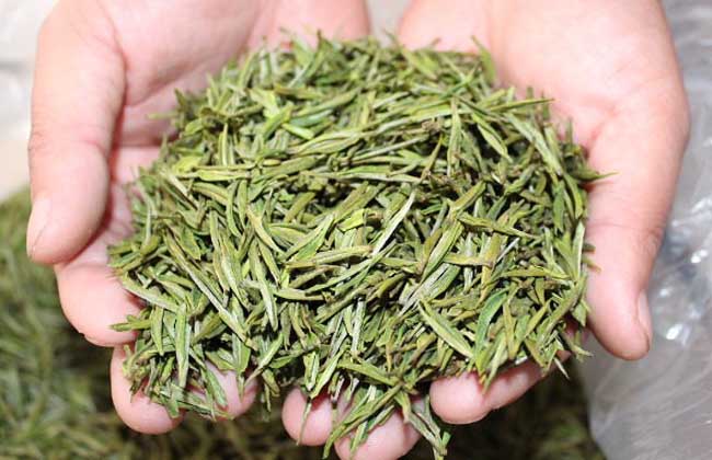 安吉白茶价格多少一斤安吉白茶的功效与作用是什么