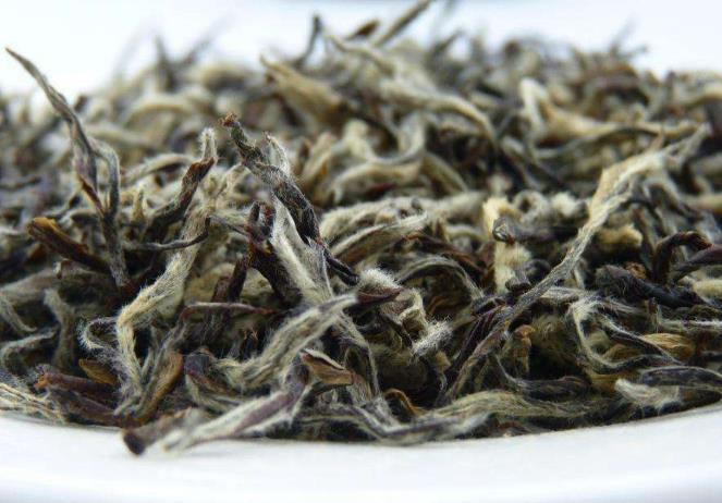 安吉白茶与福建白茶在品质特征上的区别