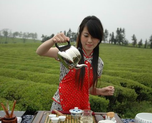 300元/斤左右的西湖龙井茶最好销