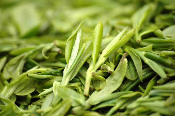 如何储存优质的西湖龙井茶？