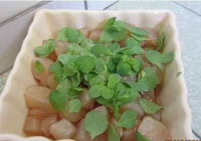 解密“海宝”：红茶菌的生长原理