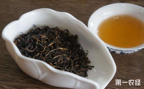 小种、滇红、祁红三大红茶的区别在哪里？
