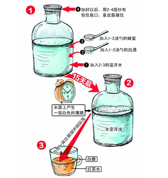制作红茶菌的注意事项及红茶菌的接种方法介绍