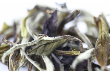 最好的红茶是什么品牌品种呢？白茶是绿茶还是红茶？