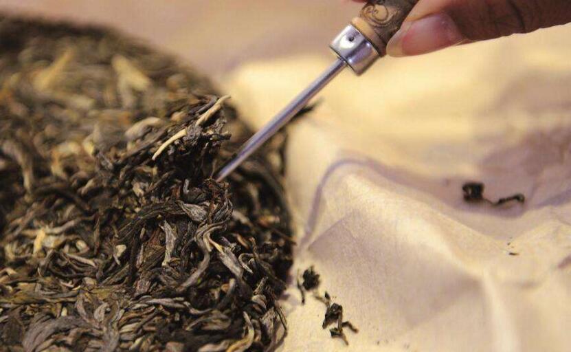 普洱属于红茶还是黑茶普洱茶加工工艺步骤