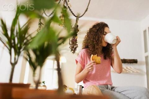 草菇红茶饮具有预防早衰老的作用