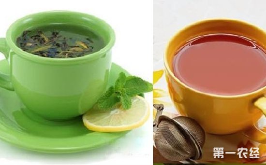 红茶和绿茶哪个好？红茶和绿茶的区别