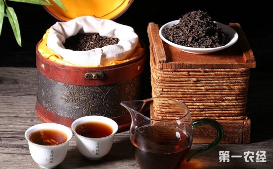 怎样制作红茶？红茶的制作技术介绍