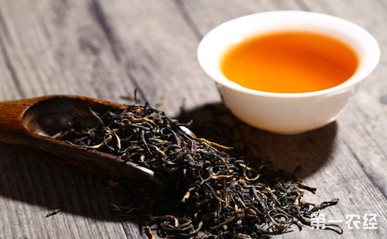 红茶是怎么制作的？红茶的制作方法