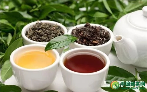 红茶和绿茶，对人体的作用存在这些差异，根据不同人群有红茶和绿茶，对人体的作用存在这些差异，根据不同人群有不同的功效