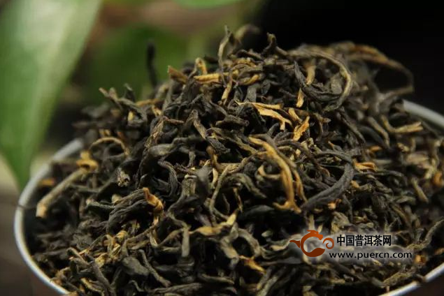 滇红是什么时候开始流行“古树红茶”的？