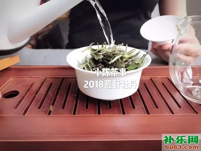 为什么要用标准白瓷盖碗试茶？无论白茶岩茶绿茶红茶！