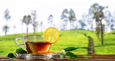 传统茶饮红茶常喝红茶的五种好处