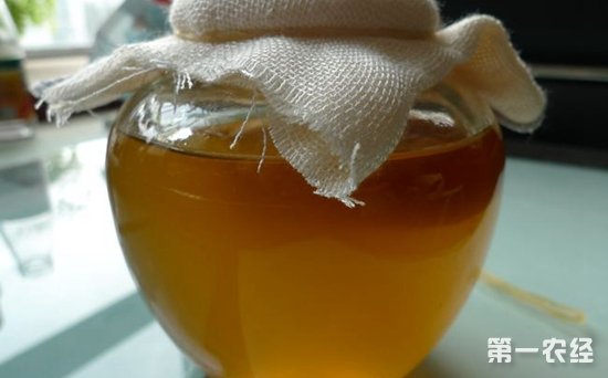 红茶菌的制作方法，红茶菌的做法介绍
