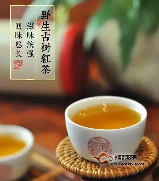 润元昌野生古树红茶——生长于山野，绽放在杯碗