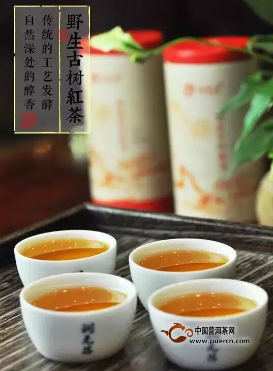 润元昌野生古树红茶——生长于山野，绽放在杯碗