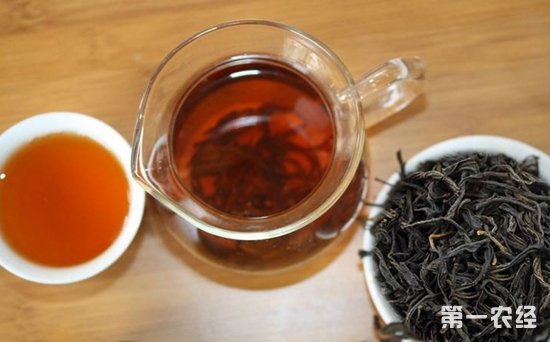古树红茶适合什么人喝？野生古树红茶的功效与作用