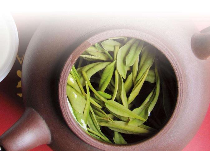 安溪铁观音茶的外形及品质特点有哪些