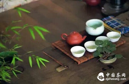 人在草木间：安溪铁观音的茶艺术
