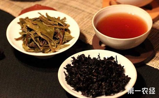 普洱茶和大红袍哪个好？普洱茶和铁观音哪种茶比较好？