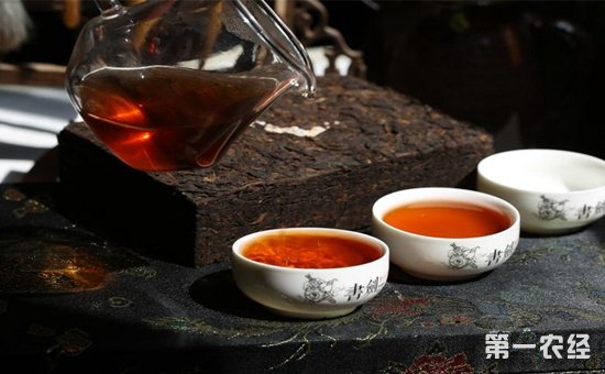 普洱生茶和熟茶哪个贵？怎样选购普洱茶？