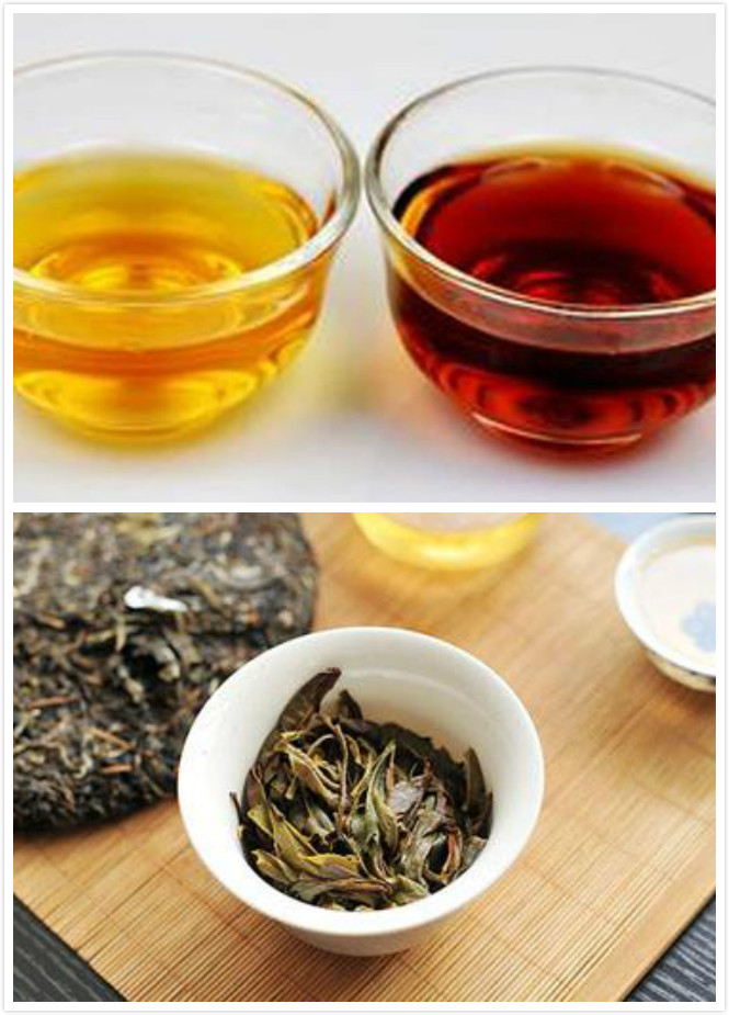 普洱生茶和熟茶哪个好普洱生茶和熟茶区分
