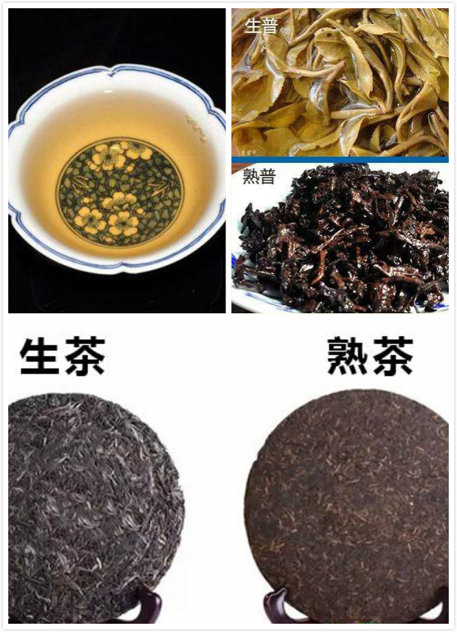 普洱生茶和熟茶哪个好普洱生茶和熟茶区分