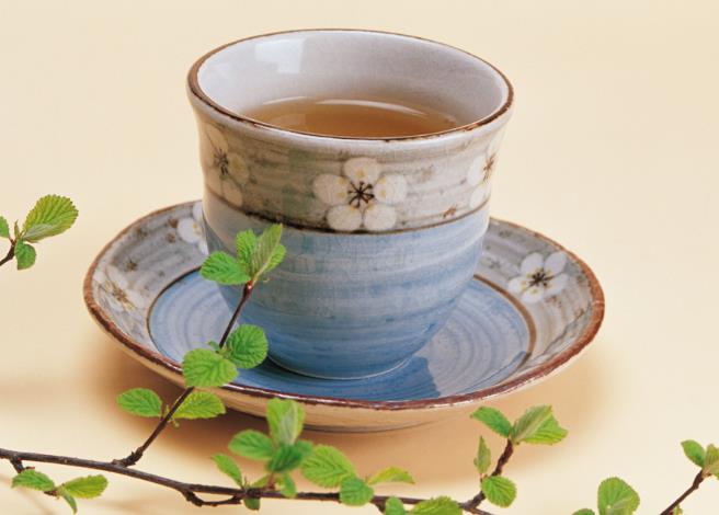 普洱茶原料品种普洱茶的品种原料介绍