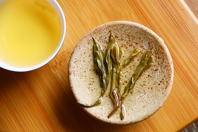 识茶：了解缔造优质普洱茶的关键因素