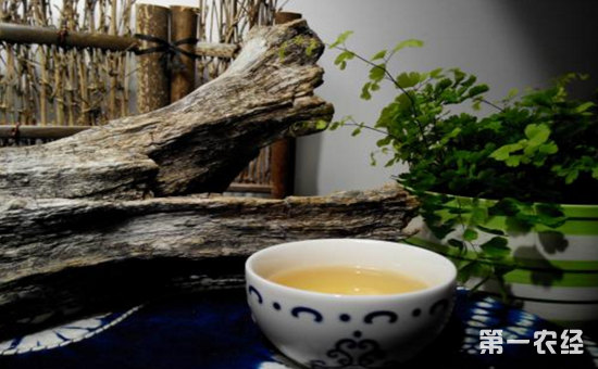 昆明茶协:普洱茶不含致癌物黄曲霉欢迎消费者监督茶叶质量