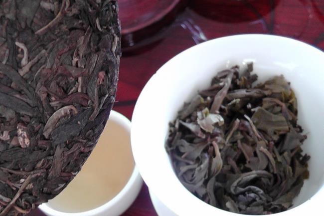 你知道多少有关于普洱茶的树型之说呢