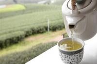 “福鼎白茶”获国家地理标志产品保护
