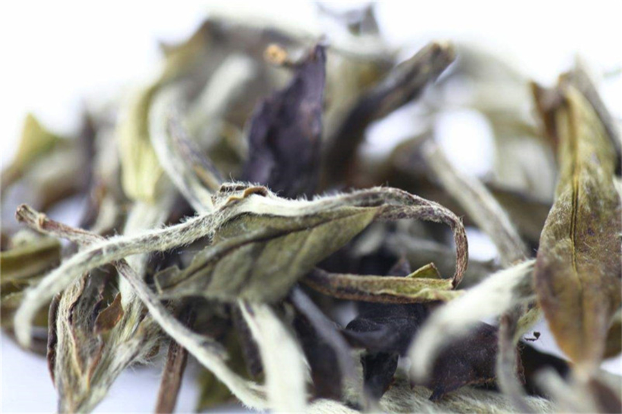 白茶有多少个品种？