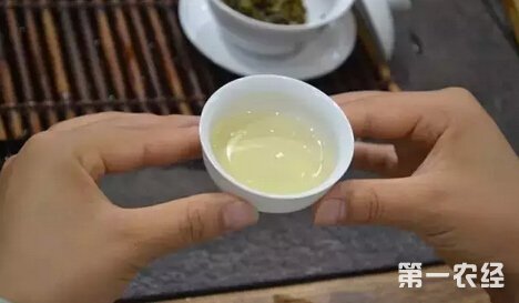 新人专用简单易上手普洱茶的泡法