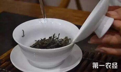 新人专用简单易上手普洱茶的泡法