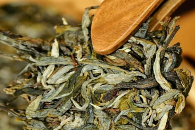 普洱沱茶有健康养生与刮油清脂的功效
