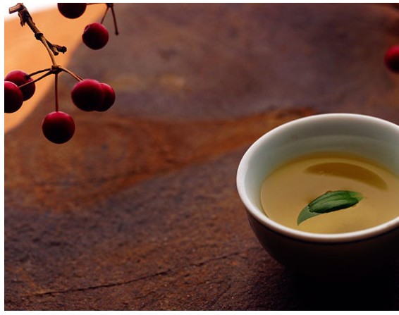 茶与养生-普洱茶与健康