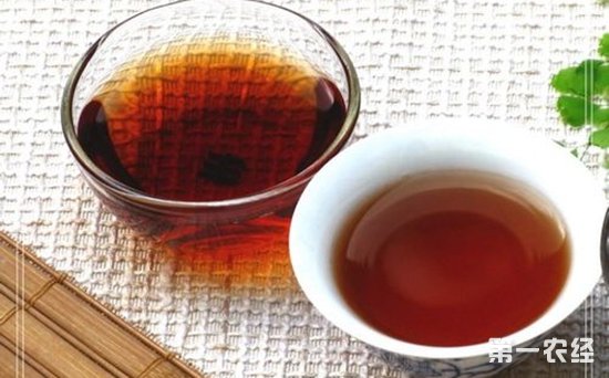 普洱茶什么季节喝比较好？普洱茶什么时候喝最好？